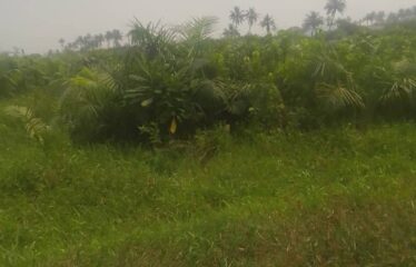 A parcel of land along Lagos/Ibadan Express Road