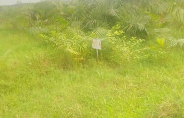 A parcel of land along Lagos/Ibadan Express Road